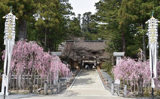 ＜世界遺産高野山＞ 宿坊 宿泊割引チケット 6,000円分 303446_EA002