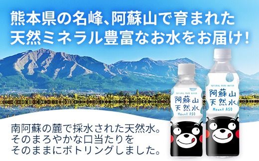 【定期便6ヶ月】熊本のおいしいお水 阿蘇山天然水 500ml×48本（2ケース）（共通返礼品・御船町） - 天然水 水 飲料水 ミネラルウォーター 箱買い まとめ買い ペットボトル 飲料 ウォーター 軟水 防災グッズ 防災 備蓄 ローリングストック ストック 熊本県