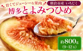いちじく フルーツ とよみつひめ 約700g 2027年 発送 博多 加温 プレミアムいちじく 果物 くだもの デザート 筑前あさくら農協 配送不可 離島 