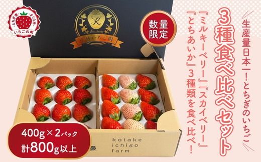 満足3種食べ比べセット（ミルキーベリー、スカイベリー、とちあいか）400g×2パック 800g｜先行予約 数量限定 栃木県 果物 くだもの フルーツ 苺 イチゴ ※2026年2月上旬～4月中旬頃に順次発送予定