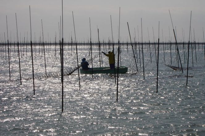 焼きのり 訳あり 有明のり 全形 20枚 3袋 計60枚 [木村食品 福岡県 宇美町 um40beg040041] 焼き海苔 やきのり 乾物 有明海苔 海苔 のり 有明 おにぎり おむすび 小分け 個包装