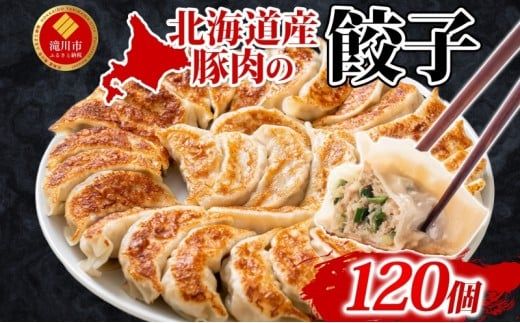 【大容量】北海道産豚肉のぎょうざ 120個!冷凍餃子 ギョーザ 国産 焼餃子 点心 滝川市 冷凍食品