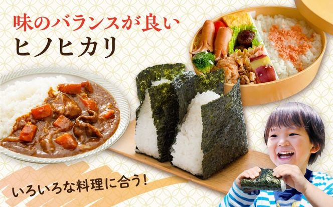 【年内発送】糸島産 ヒノヒカリ 20kg 糸島市 / 平山農園 米 白米 米 白米 ご飯 お米 20kg[AXN007]