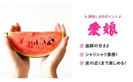 こだますいか 「 愛娘 」 1玉 2026年産 先行予約 筑西ブランド こだまスイカ 小玉スイカ すいか スイカ フルーツ 果物 [AF078ci]