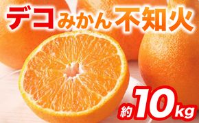 【先行予約】 不知火 デコみかん (デコポン同品種) 約10kg (24～48玉) フルーツ くだもの 果物 みかん 蜜柑 ミカン 柑橘 おやつ デザート 旬 熊本県 八代市  【2027年2月上旬より順次発送】