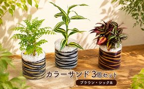 カラーサンド 3個 セット ブラウン・シック系 植物 インテリア ガーデン 