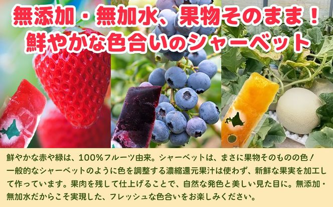 北海道 豊浦町 ブルーベリー いちご メロン シャーベット 5本×3種 【 ふるさと納税 人気 おすすめ ランキング 果物 メロン めろん 果物 いちごイチゴ 苺 イチゴシャーベット ブルーベリー メロンシャーベット 食べ比べ おいしい 美味しい 甘い 北海道 豊浦町 送料無料 】TYUN017