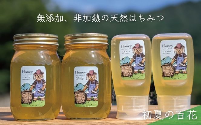 合計1800g 天然蜂蜜 国産蜂蜜 非加熱 生はちみつ 岐阜県 美濃市産 初夏 (蜂蜜600g入りガラス瓶2本、蜂蜜300g入りピタッとボトル2本のセット)B16 深田養蜂のハチミツ