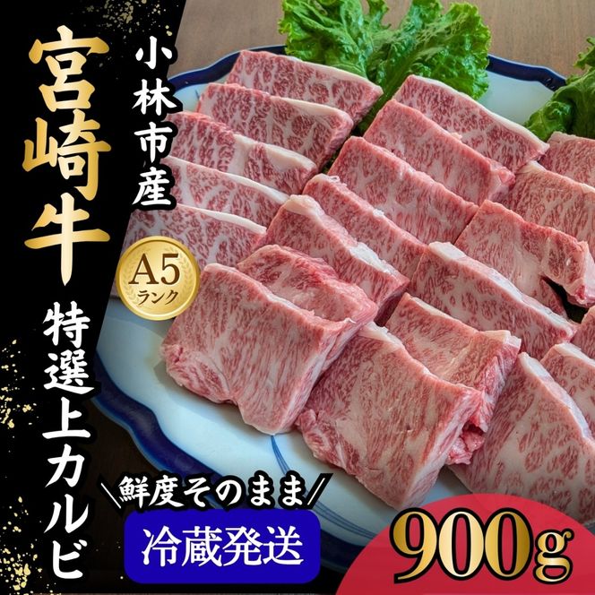 【新鮮チルド発送!!】A5等級宮崎牛特選上カルビ焼肉 900g（黒毛和牛 牛肉 宮崎牛 赤身 カルビ 焼肉用 宮崎県）
