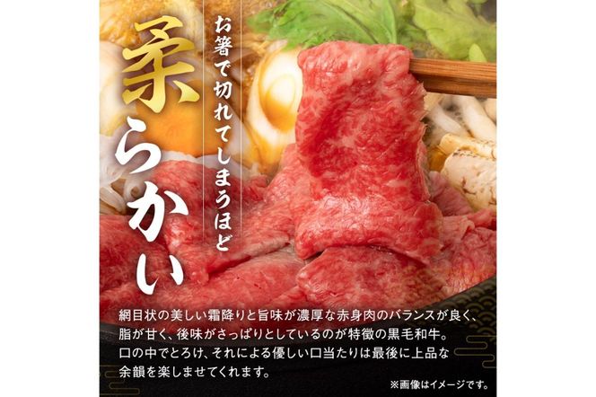 飛騨牛すき焼き用もも・かた肉 700ｇ（350g×2パック）【0016-034】