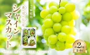 ご家庭用 シャインマスカット 約2kg ぶどう ブドウ 葡萄 香川県産 国産 フルーツ 果物