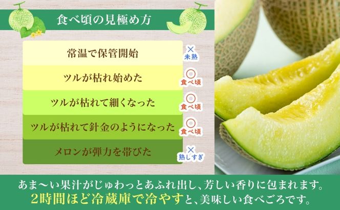 〈先行受付〉【2027年夏発送】北海道 青肉メロン 月雫 優品 4～6玉 計約8kg 令和9年 メロン 果物 フルーツ 旬 季節 希少 甘い 豊潤 国産 北海道産 デザート ご褒美 産地直送 産直 ギフト お祝い 贈答品 贈り物 御中元 お取寄