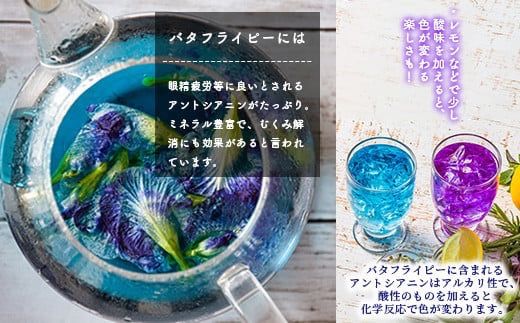 希少！採れたて新鮮！八重咲バタフライピーの生花（食用花、生ハーブ）特別栽培、栽培期間中農薬不使用 ３月～順次発送【 沖縄県 石垣市 沖縄 石垣 石垣島 花 生花 ハーブ 離島のいいもの 沖縄いいもの石垣島 】OI-8