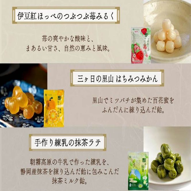 飴 9種 9袋 黒糖 げんこつ きなこ たんきり 氷砂糖 ニッキ 苺 はちみつ みかん 抹茶 アメ 個包装 おかし お菓子 おやつ 静岡県 藤枝市 甘信堂製菓