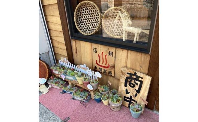 長野県産小麦粉パン米粉焼き菓子のセット お菓子 スイーツ 全粒粉 ライ麦粉 天然酵母 ハードパン カンパーニュ シフォンケーキ 体に優しい 