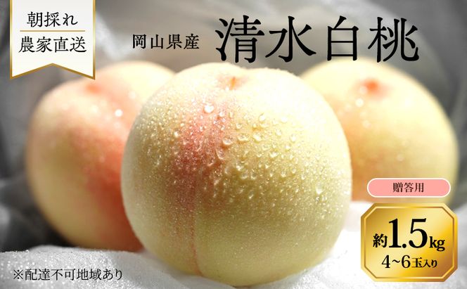 桃 2026年 先行予約 岡山県産 清水白桃 贈答用1.5kg(4～6玉) 朝採れ 農家直送 限定20箱