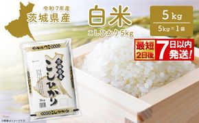 期間限定!! 【最短2日後7日以内発送】【令和7年産/白米】 こしひかり 5kg 茨城県産 米 小分け 2025年産 K2670