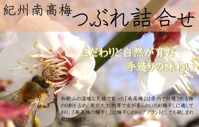 YD1003_紀州南高梅つぶれ梅詰合せ