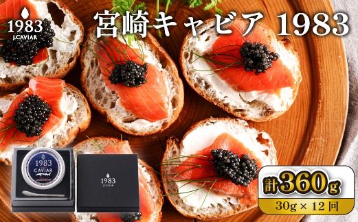 y{茧юszyցES12zېt@[XgNX̗p{LrA1983 30g×12iY LrA  {茧 { юs ցj
