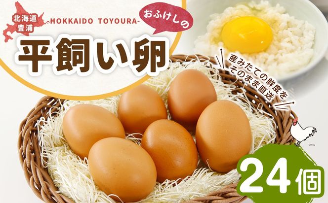 北海道 豊浦 おふけしの平飼い卵 24個 