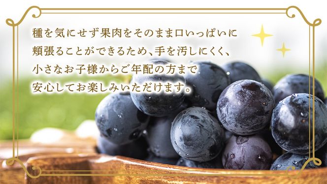 ＼ 選べる内容量 ／種なし 巨峰 約1.3kg(約2房) / 約2kg(約4房) / 約5kg(約8～12房)【2026年7月より発送開始】（茨城県共通返礼品 [ぶどう]：結城市産） ぶどう 種なし巨峰 フルーツ デザート 果物 食べやすい 旬