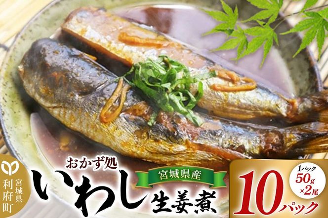 宮城県産 いわし生姜煮 （2尾50g×10パック） 冷凍 惣菜 おかず つまみ レンチン 湯煎 簡単 お取り寄せ しょうが ショウガ|06_kkm-481001