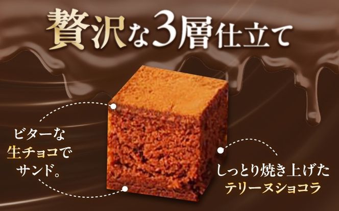 とろける食感！天使のショコラ 24粒入り スイーツ ガナッシュ ショコラ 愛西市 / スイーツカフェハル[AEDP006]