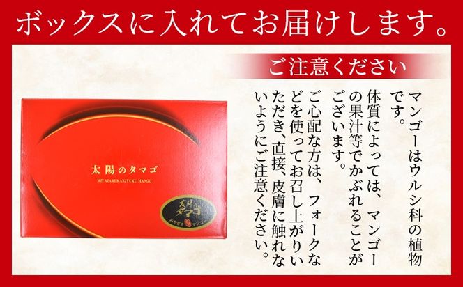 ＜宮崎県産 太陽のタマゴ A等級 A5Lサイズ×1玉（約700g）＞2025年4月下旬～2025年6月下旬迄に順次出荷【 太陽のタマゴ 完熟マンゴー 完熟 マンゴー フルーツ トロピカルフルーツ 果物 くだもの おいしい 美味しい 甘い あまい 】【b0912_ja】