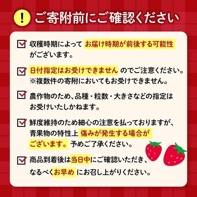 【 先行予約 ：2027年1月～4月配送】 やよい姫 約920g 230g×4パック いちご 完熟 苺 産地 直送 フレッシュ イチゴ 贈答 フルーツ 果物 国産 静岡 期間限定 数量限定 苺 イチゴ 旬 フルーツ 果物 くだもの 春 静岡県 藤枝市