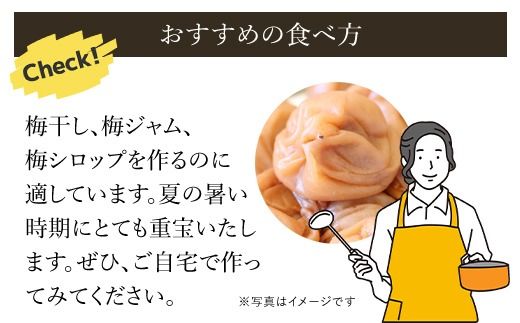 今だけキャンペーン❗❗【三年熟成 】完熟白干し梅 A～B5kg
塩分20％) 新春キャンペーン！【三年熟成 】 完熟白干し梅 A～B5kg樽入り