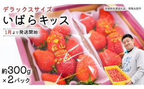 【 先行予約 】 いばらキッス ( 2パック )　特大 デラックスサイズ 【 2027年1月から発送開始 】 (常陸太田市 共通返礼品 ) 約 300g × 2 パック いばらキッス いばらきっす いちご 数量限定 果物 くだもの フルーツ 苺 イチゴ 期間限定