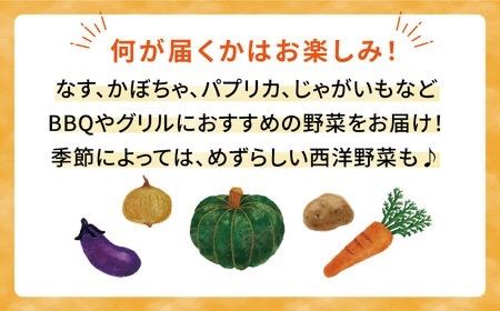 ☆キャンプにもおすすめ☆バーベキュー・グリル用朝獲れ野菜特選セット【福岡県糸島産】(たっぷり7〜8人分) 糸島市 / オーガニックナガミツファーム 野菜 詰め合わせ [AGE039]