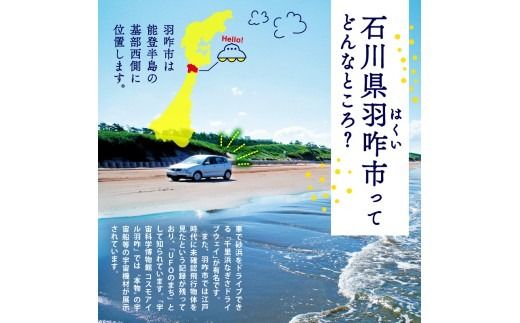 【2026年9月～10月発送】姫丸の毛ガニ・特大 茹で上げ800ｇ～900ｇ 1杯