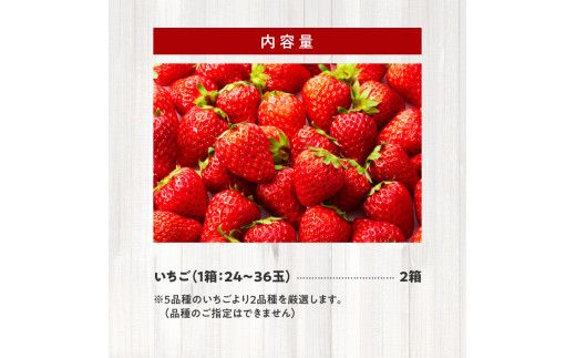 【いちにのいちご園】生いちご厳選2品種食べ比べセット 2箱 N085-YC329