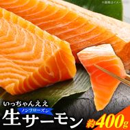 いっちゃんええ【ノンフローズン】生サーモン 全て手作業 約400g_FJ1000