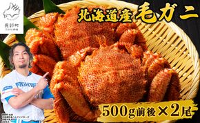 【順次発送】北海道産 ボイル毛蟹 約1kg（500g前後×2尾）蟹 カニ 冷凍 