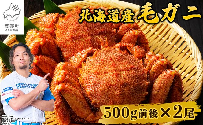 【順次発送】北海道産 ボイル毛蟹 約1kg（500g前後×2尾）蟹 カニ 冷凍 