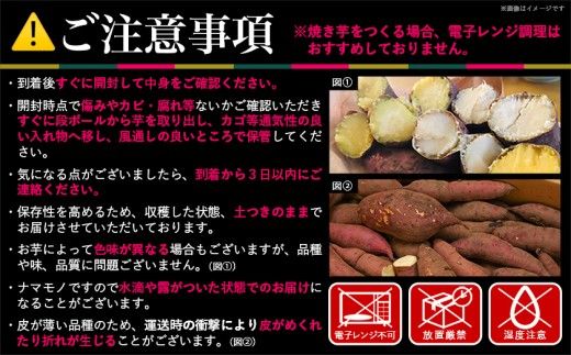 先行受付!【11月お届け】島津甘藷　熟成紅はるか 5kg(S～2S)_LE-A7-001-5kg-m-11
