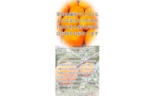 【ご家庭用わけあり】和歌山秋の味覚　富有柿　約3.5kg 【uot741】