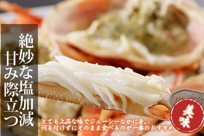【訳あり！指落ち松葉がに】山陰沖ゆで松葉がに 800ｇ～900ｇ 大サイズ（11月発送）／北畿水産　HK00323