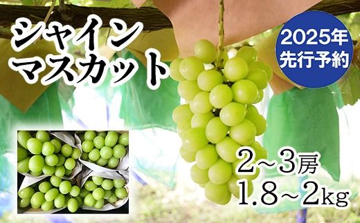 【2025年発送分 先行予約】 山梨おいしい果物園のシャインマスカット 1.8kg-2.0kg (2~4房)　産地直送 フルーツ シャイン マスカット ブドウ ぶどう 山梨 やまなし 富士川町