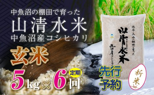 【令和8年産 先行予約】【定期便／全6回】玄米5kg 新潟県魚沼産コシヒカリ「山清水米」