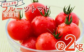 【2026年1月以降発送】フルーツトマト ２ｋｇ 家庭用 yr-0067