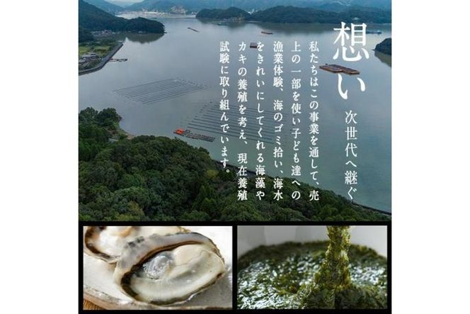 真ガキ 大入島オイスター (約1.3kg) 牡蠣 カキ 貝 海鮮 魚介類 冷蔵 生食可 シングルシード 養殖 大分県 佐伯市【ED08】【(合)新栄丸】