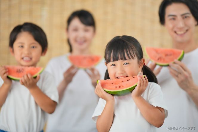 AJ645 【令和8年度出荷分】 島原スイカ倶楽部 小玉スイカ うり坊 3～5玉 計9～12kg [ 先行予約 数量限定 小玉 うり坊 スイカ 西瓜 フルーツ 果物 長崎 長崎県 島原市 ]