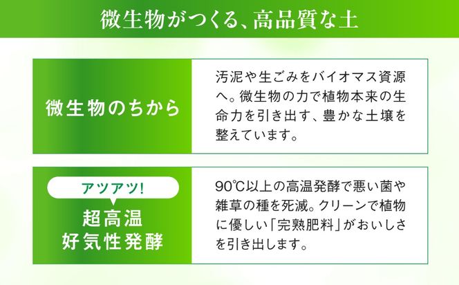 【先行受付】【糖度18度以上】 糸島産 シャインマスカット 2kg 【2026年8月中旬より順次発送】糸島市 / 和饗エコファーム フルーツ 果物[AVI007] シャインマスカット マスカット ぶどう ブドウ フルーツ 果物 甘い 高糖度