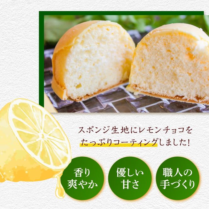 【老舗の菓子屋 鹿の子】レモンケーキ 10個《築上町》【有限会社　御菓子司　鹿の子】[ABAC026]