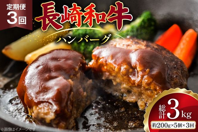 AJ586 【3回定期便】長崎和牛 ハンバーグ 約1kg (200g×5個) [ 肉 牛肉 和牛 おいしい ひき肉 焼くだけ おかず まるしん商会 黒牛 長崎県 島原市 ]