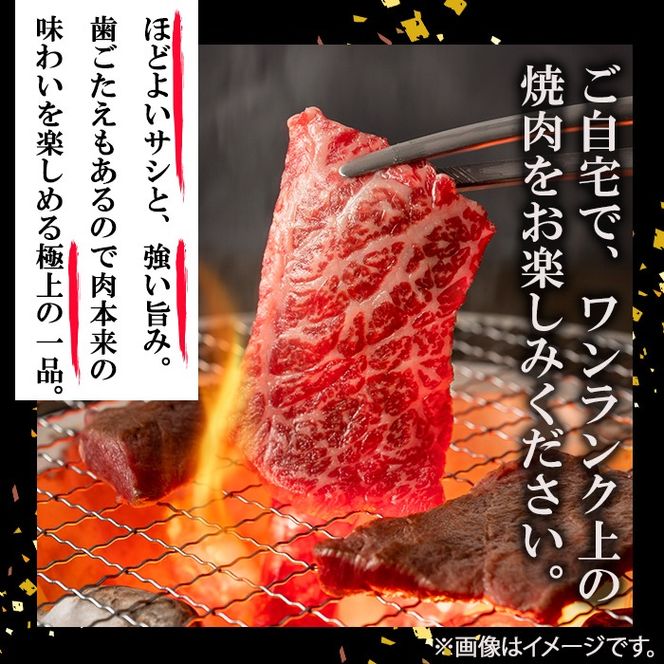 【数量限定】鹿児島県産 A4・A5等級うしの中山黒毛和牛赤身焼肉用600g a5-263