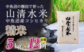 【定期便／全12回】精米5kg　新潟県魚沼産コシヒカリ「山清水米」十日町市 米